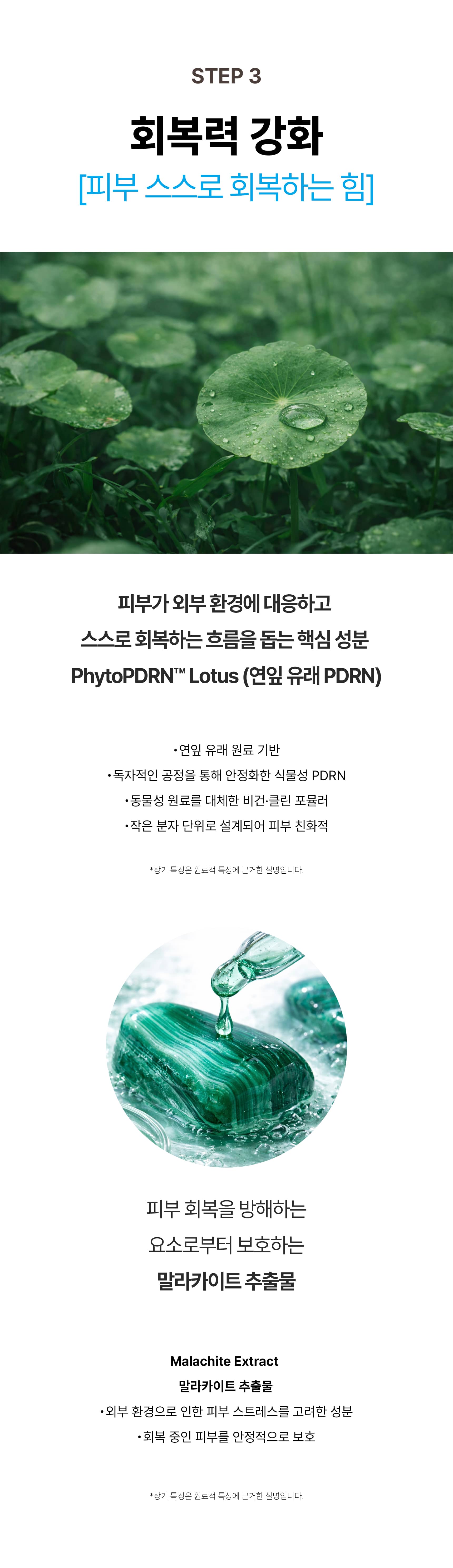 듀오 세트 — 크림 & 앰플 detail 14